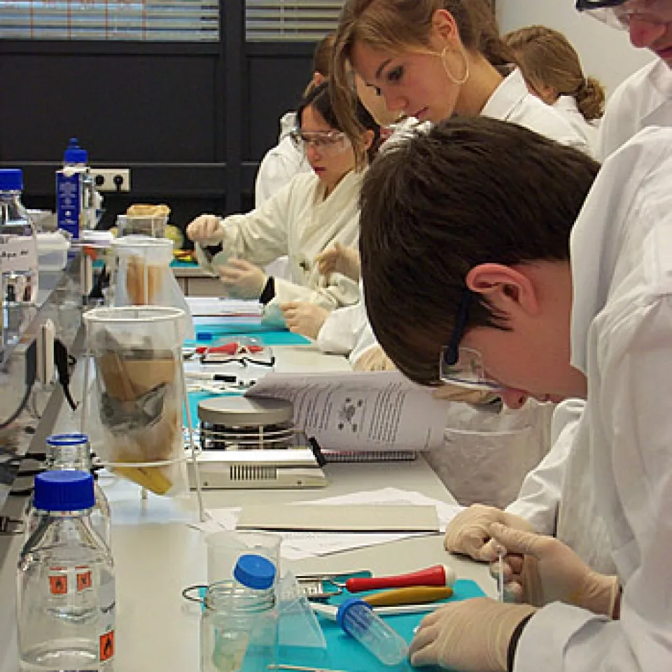 Naturwissenschaft hautnah - Schüler isolieren DNA aus einer Maissorte 