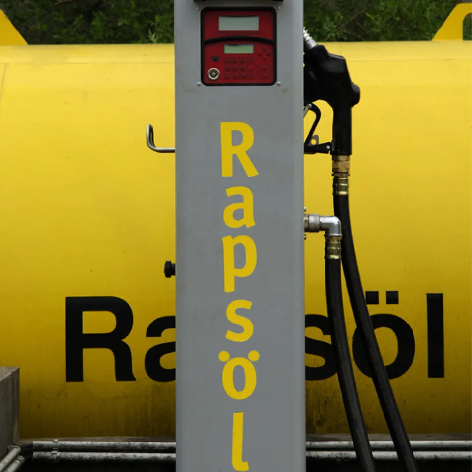 Grüne Gentechnik X – Raps immer wertvoller als nachwachsender Rohstoff 