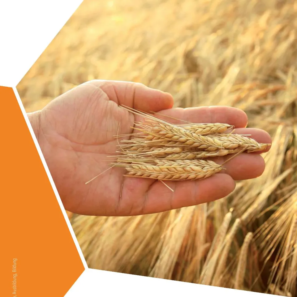 Pflanzenschutz in der Schule