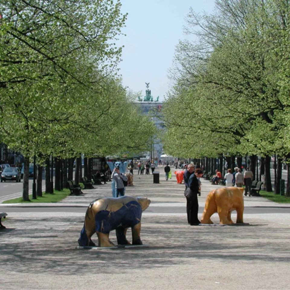 So bleiben unsere Städte grün: Pflege für die Grüne Lunge