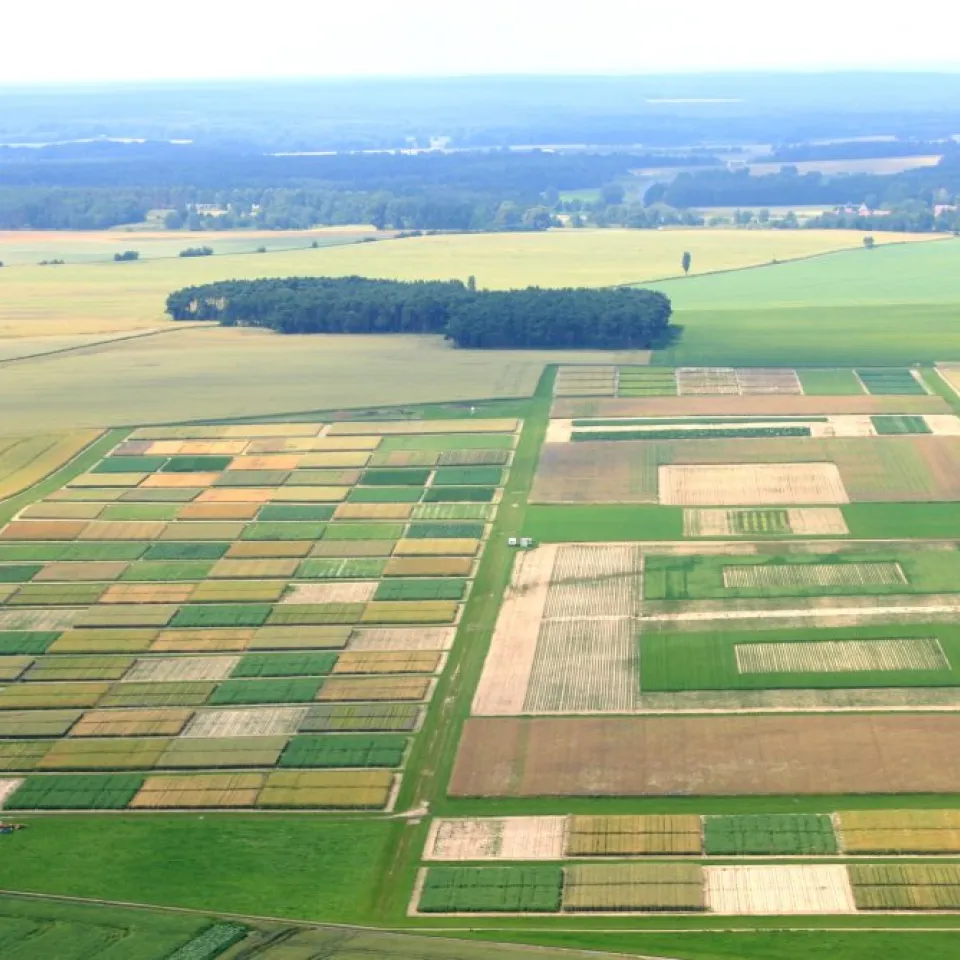 Was passiert, wenn Landwirte weniger düngen und spritzen?