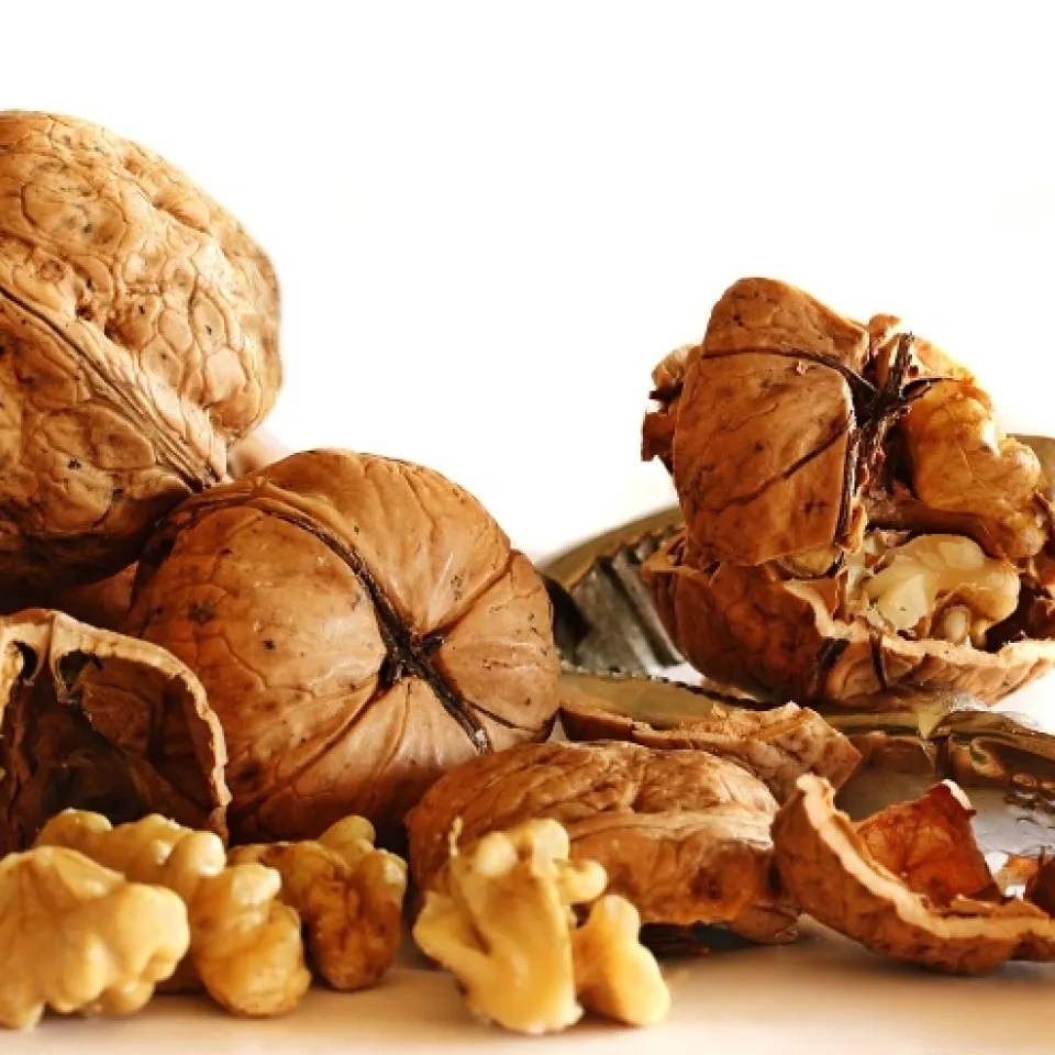 Die Walnuss: harte Schale, leckerer Kern