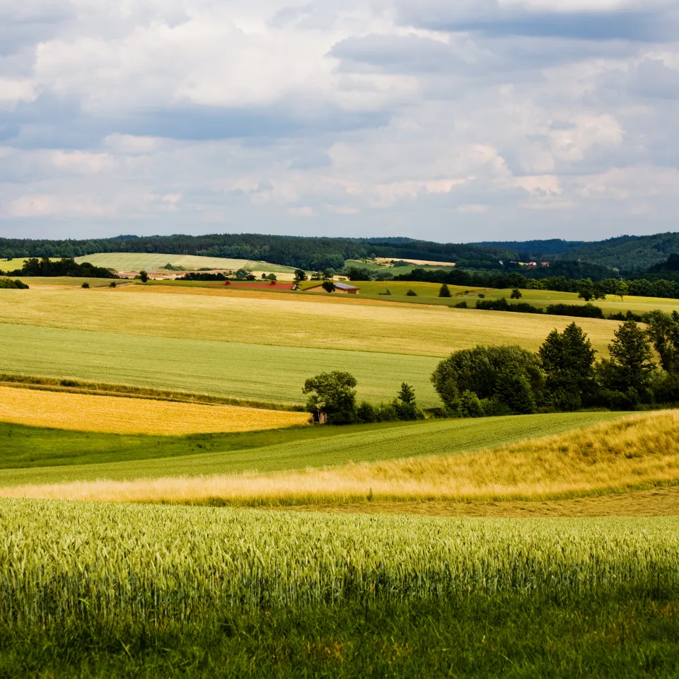 Biologische Vielfalt: Auch Pflanzenschutzmittel sind biologisch aktiv