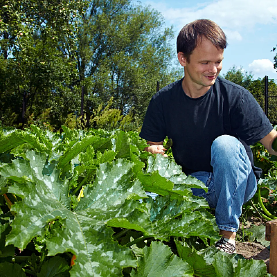 Gesunde Pflanzen durch richtige Fruchtfolge und ausreichende Pausen