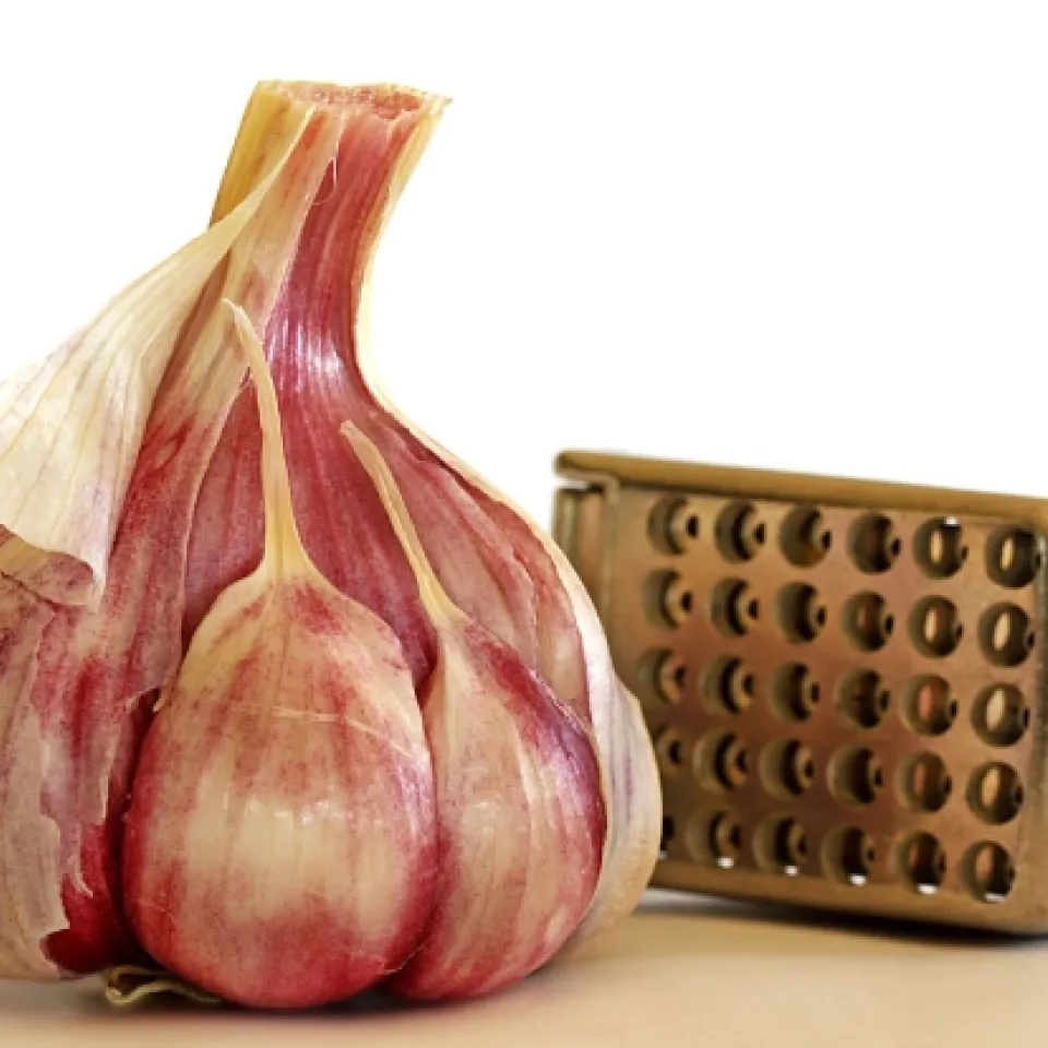 Knoblauch: Zwischen Liebe und Ablehnung