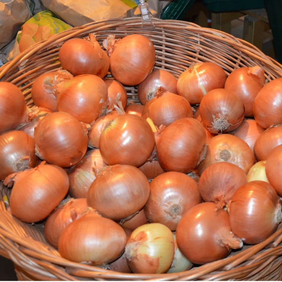 Speisezwiebeln: tränenreicher Siegeszug durch die Küchen