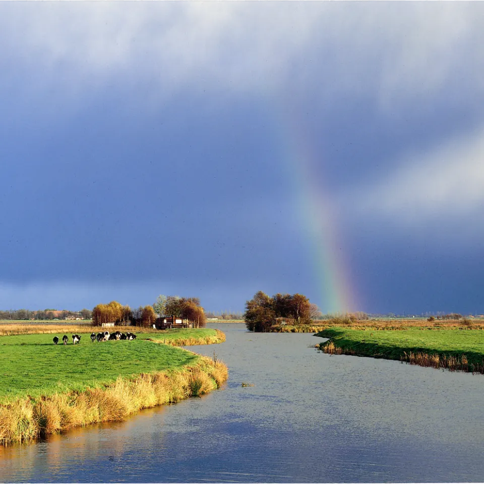 Pflanzenschutz-Hersteller verstärken Anstrengungen zum Gewässerschutz
