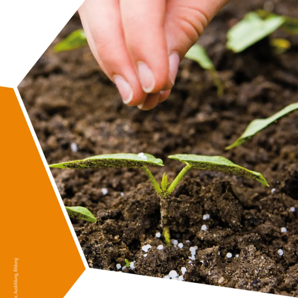 Ernährung – Wachstum – Ernte