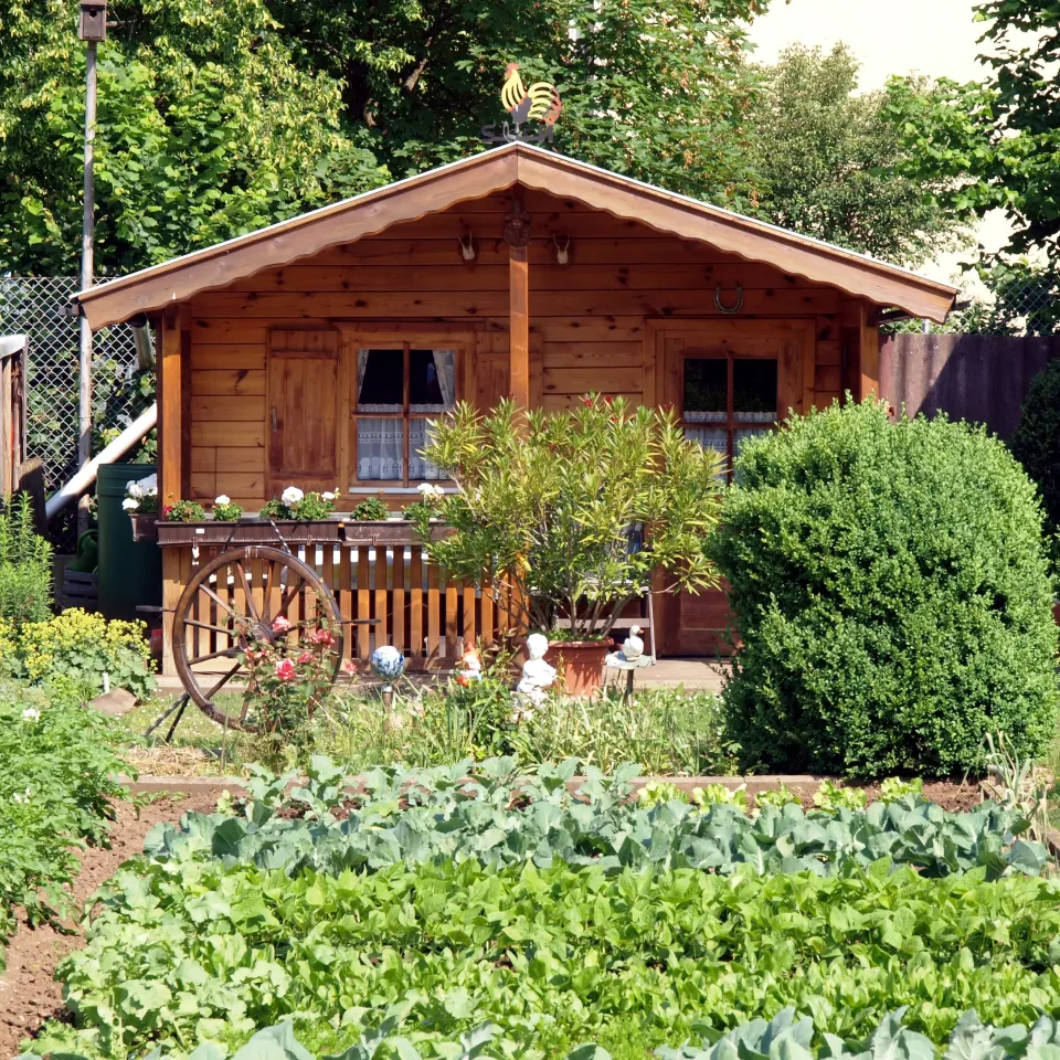 IVA: Freizeitgärtner sind Greenpeace ein Dorn im Auge