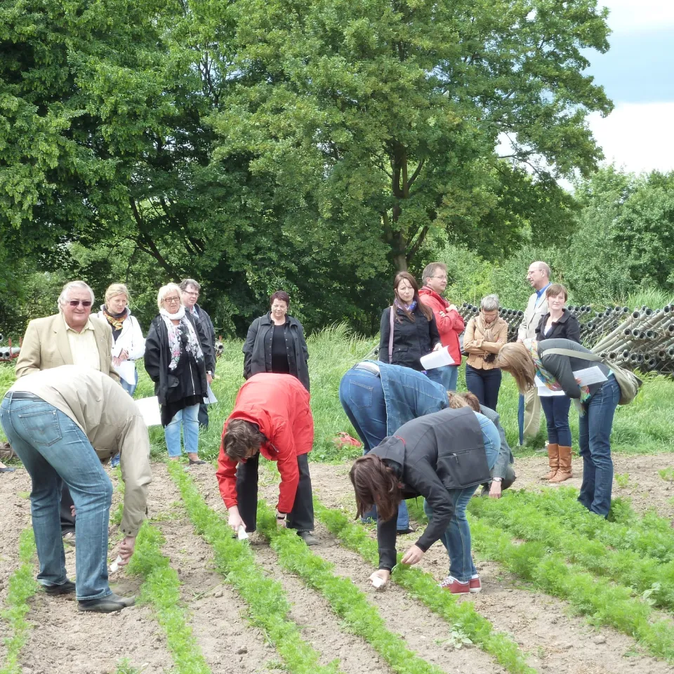 Anpacken auf dem Feld und am Experimentiertisch – Lehrerfortbildung nach Maß