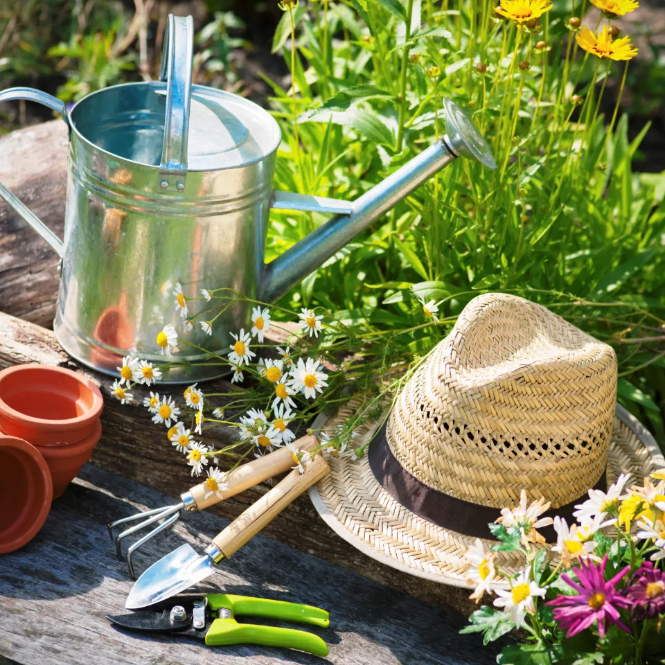 IVA: Auch im Garten brauchen Pflanzen Schutz