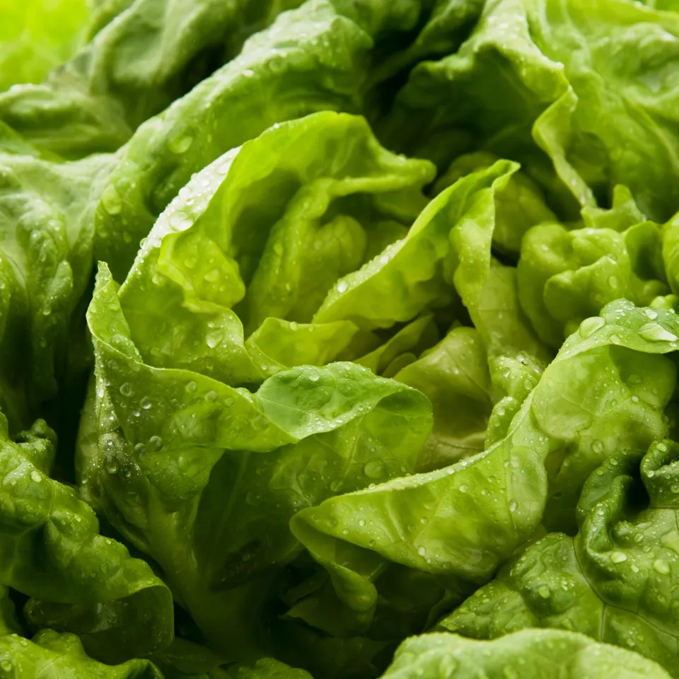 IVA: "Öko-Test ist diesmal selbst die Mogelpackung"