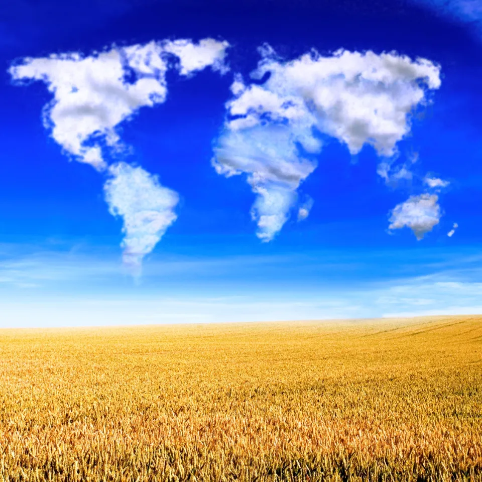 VIDEO: Pflanzenschutz in Deutschland sichert weltweit Nahrung für Millionen