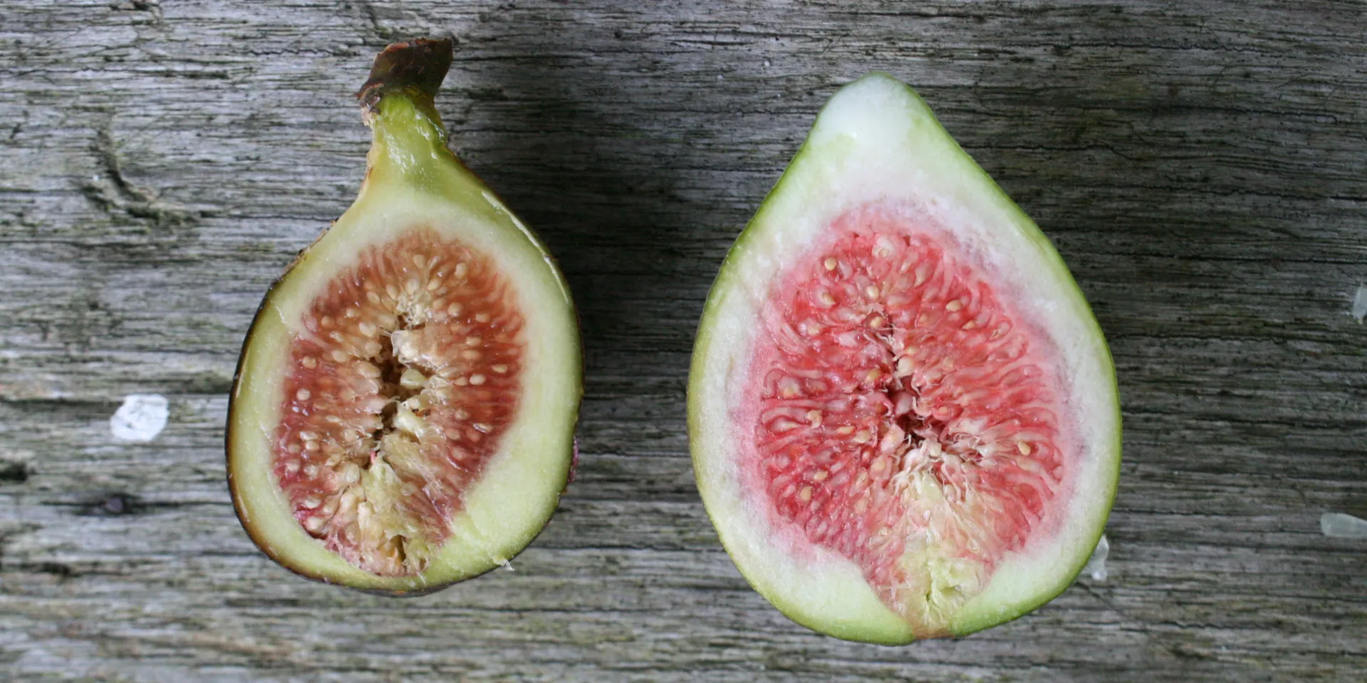 <p>Die Blüten der Feigen stehen im Inneren des Fruchtstands und sind von außen nicht erkennbar.</p>