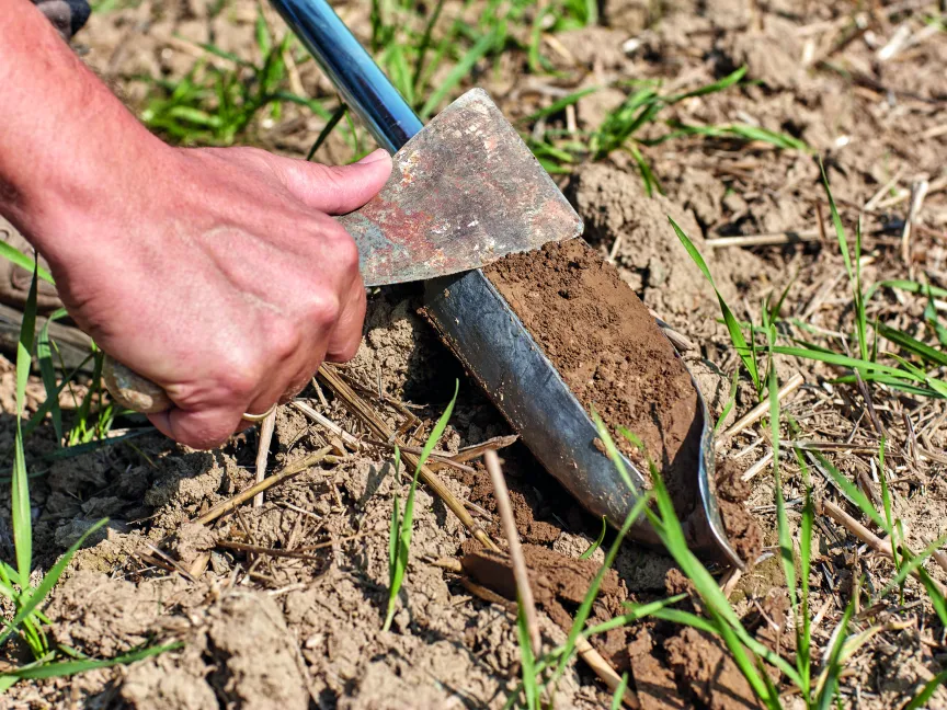 Boden - Entnahme einer Bodenprobe