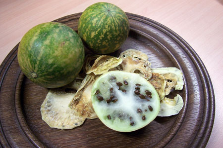 Die Koloquinte eine Pflanze mit Geschichte Industrieverband Agrar