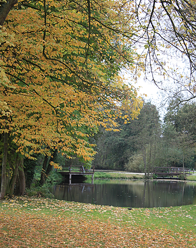 So wird der Garten winterfest | Industrieverband Agrar