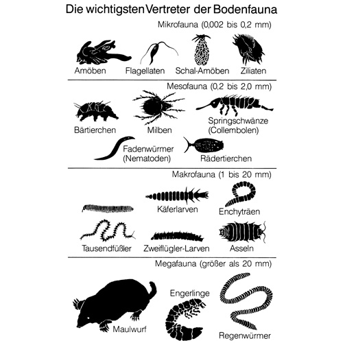 der-boden-lebt-industrieverband-agrar