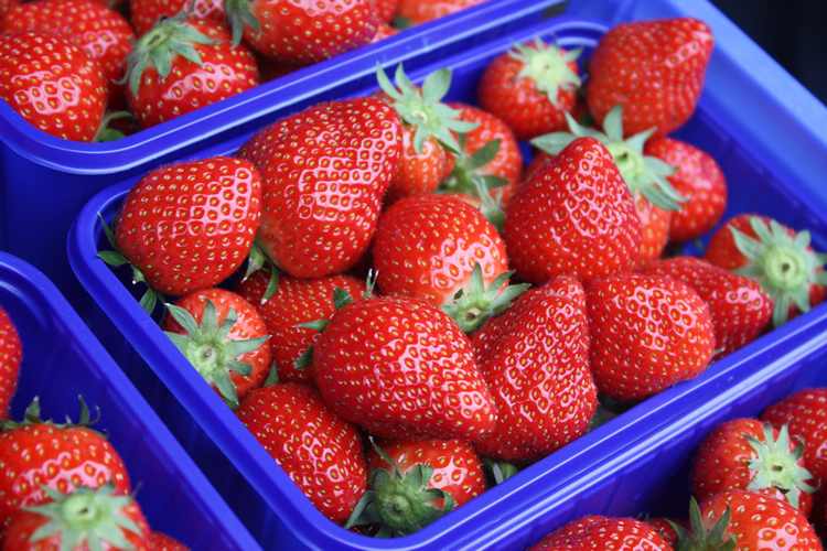 Frische Erdbeeren: lecker, gesund, kalorienarm | Industrieverband Agrar
